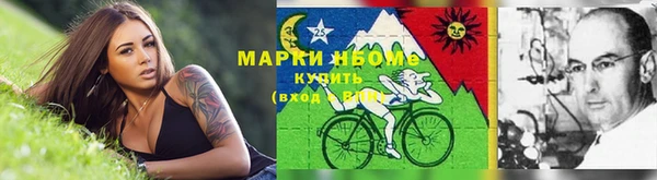 хмурый Богородицк