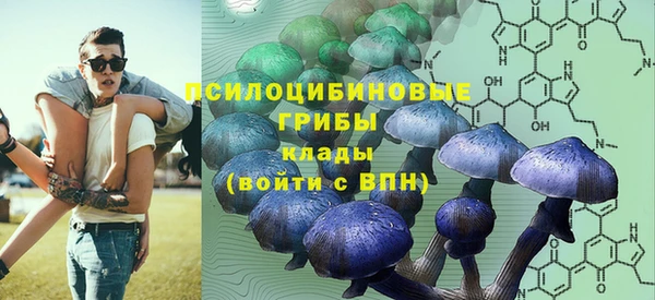 хмурый Богородицк