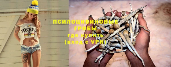 PSILOCYBIN Бородино