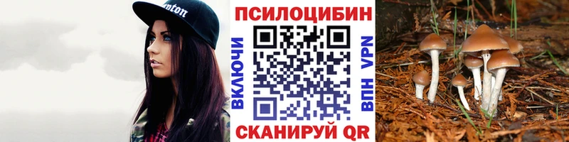 Псилоцибиновые грибы мухоморы  Сретенск 